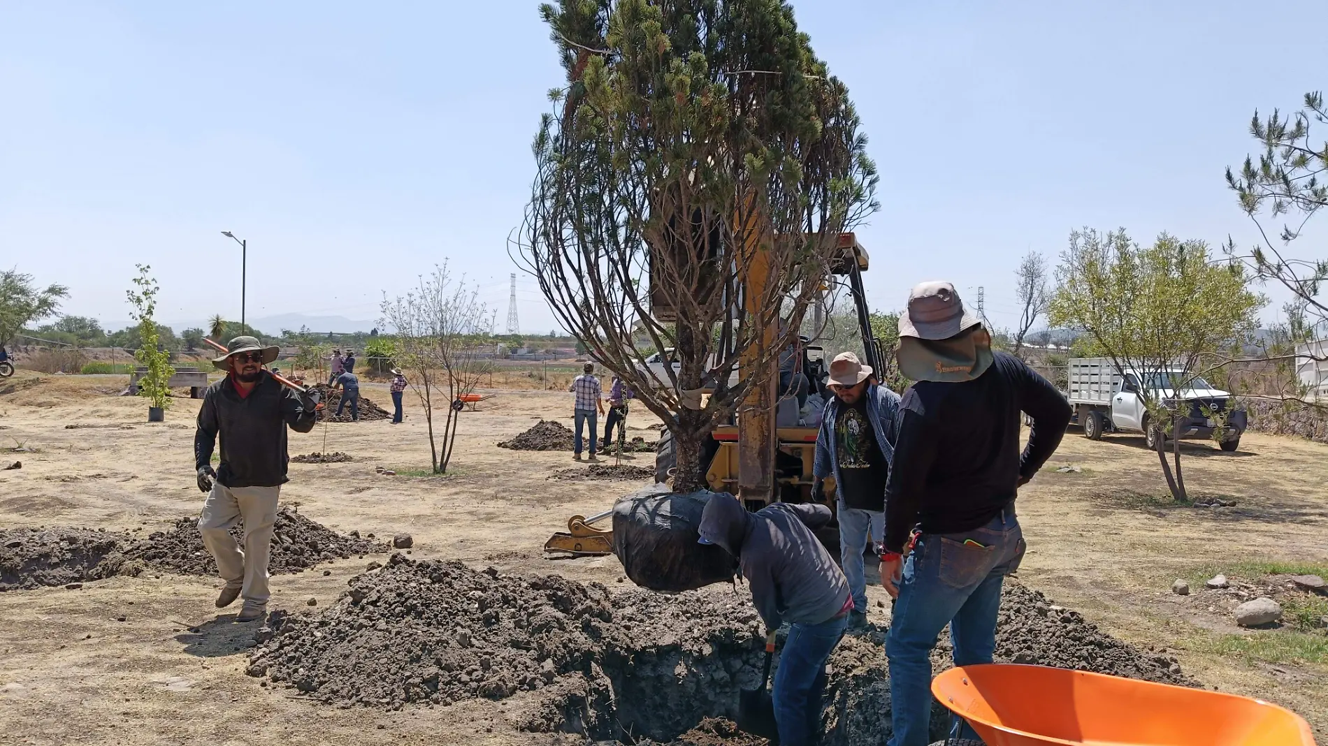 plantacion (5)